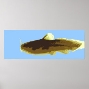Tadpole Madtom Malfisk Poster