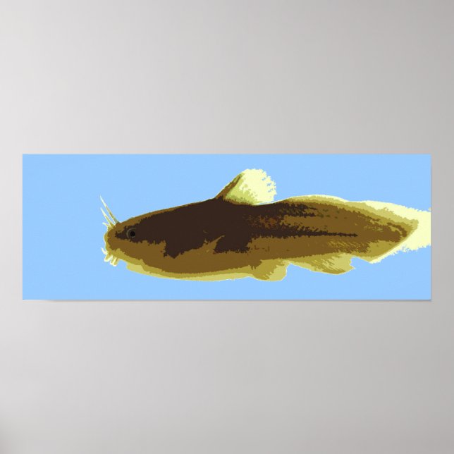 Tadpole Madtom Malfisk Poster (Framsidan)