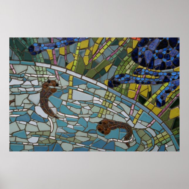 Tadpole Mosaic, 2010 fotot av Derrick W. Black Poster (Framsidan)