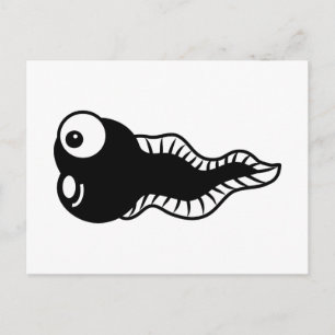 Tadpole Vykort