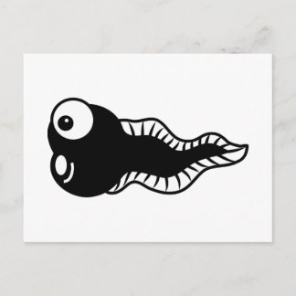 Tadpole Vykort