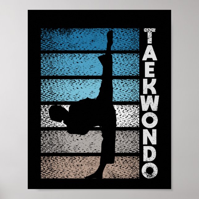 Tae Kwon Do fighter Taekwondo Korean fight Poster (Framsidan)