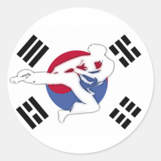 Tae Kwon Do Flyer Stickers Runt Klistermärke