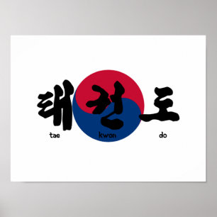 Tae Kwon Do with Flagga Poster