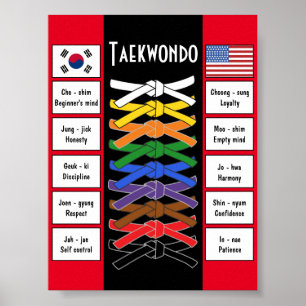 Taekwondo affisch