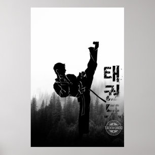 Taekwondo Koreansk High Kick Poster