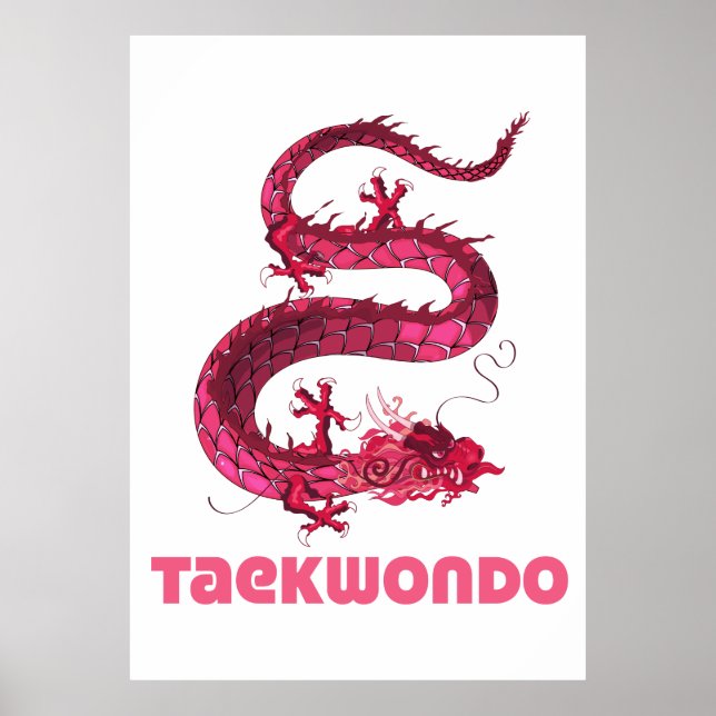 Taekwondo Poster (Framsidan)