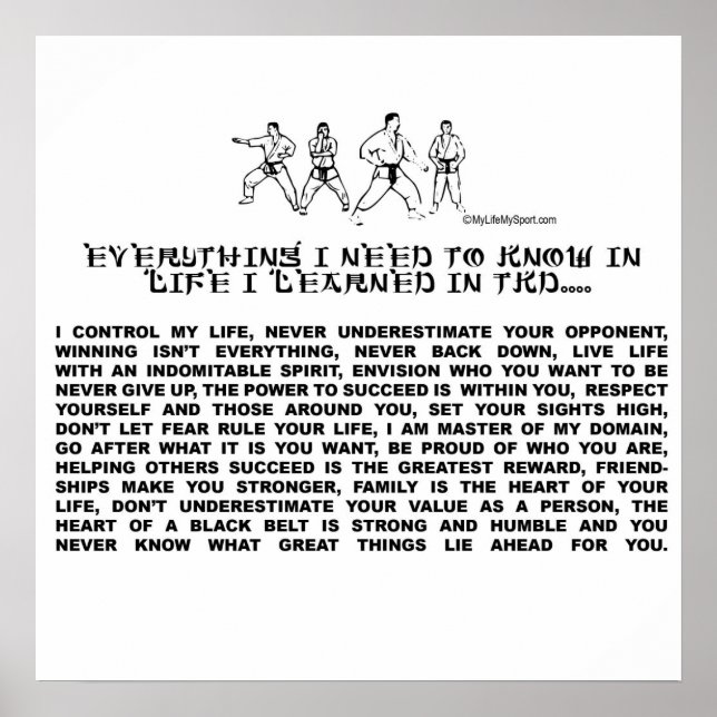 TAEKWONDO POSTER (Framsidan)