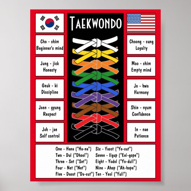 Taekwondo Poster (Framsidan)