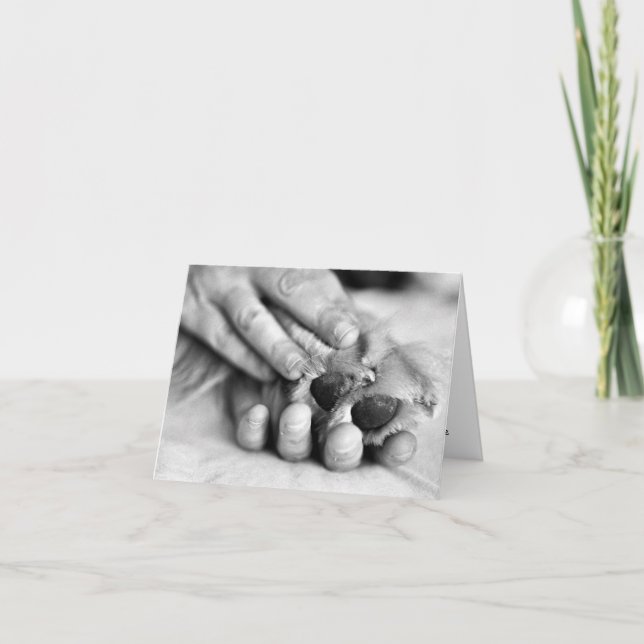 Tafsa och räcka kortet kort (Framsida)