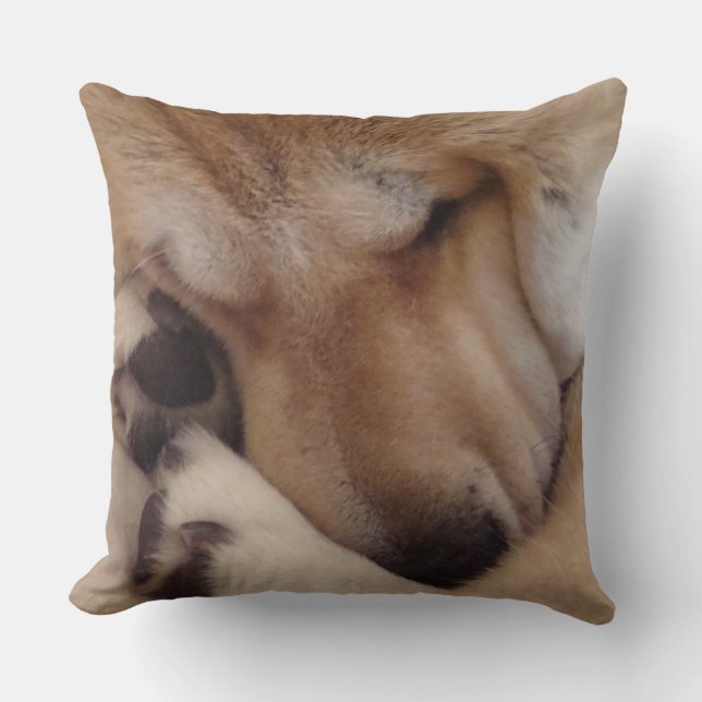 tafsar det sovande kelet för den gulliga akita kudde (Framsida)