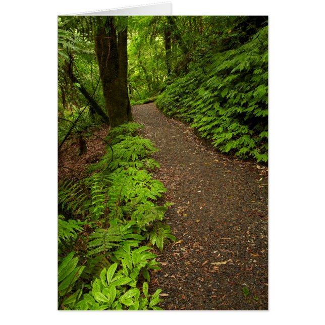 Tåg genom skogen hälsningskort (Framsidan)