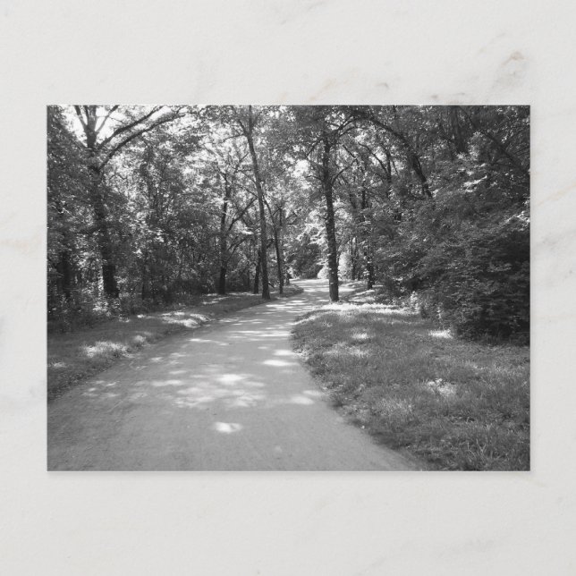 Tåg genom Skogen Vykort (Framsida)