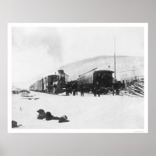 Tåg & Hundar Alaska 1916 Poster