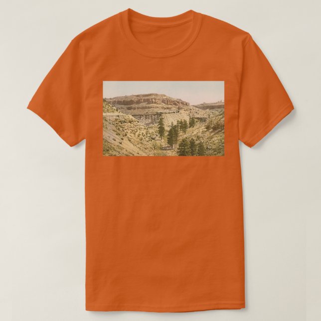 tåg i Grand Canyon T Shirt (Design framsida)