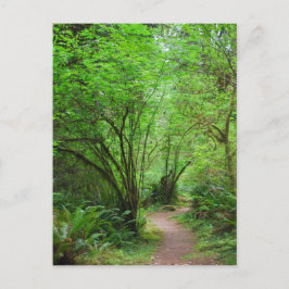 Tåg i Redwood Forest Vykort