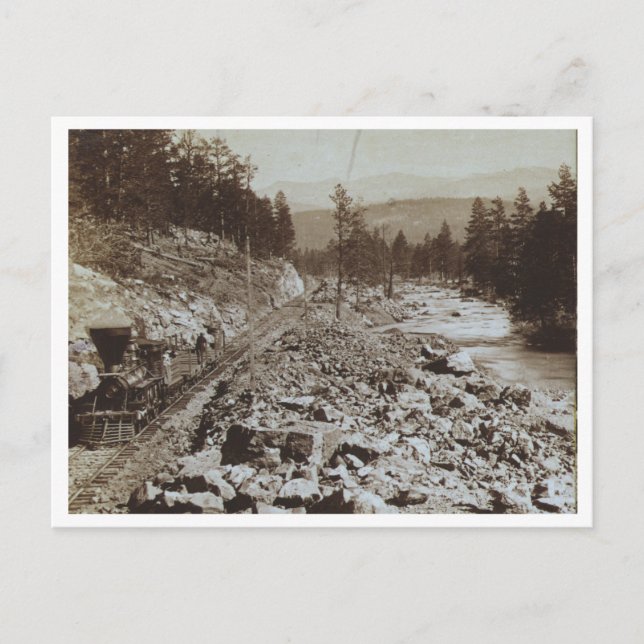 Tåg längs floden Truckee Vykort (Framsida)