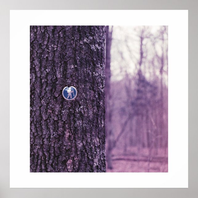 Tåg vid Dunbar Cave State Park Poster (Framsidan)