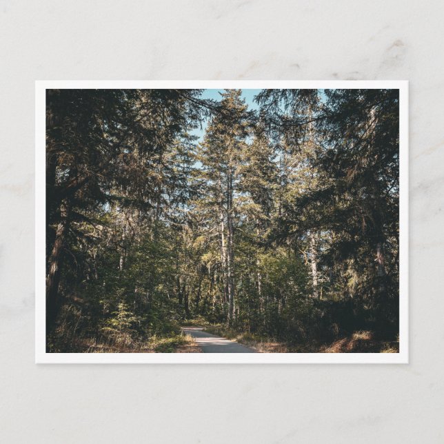 Tåg Vykort (Framsida)