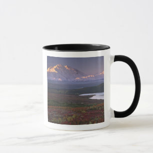 Taget i början av september i Denali National Park Mugg