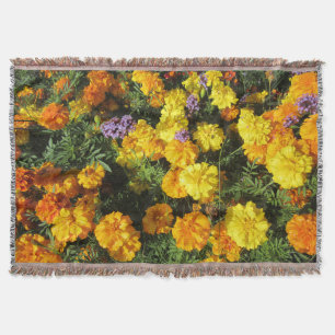 Tagetes Filt