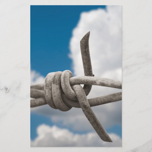 Taggtråd Flygblad (Framsidan)