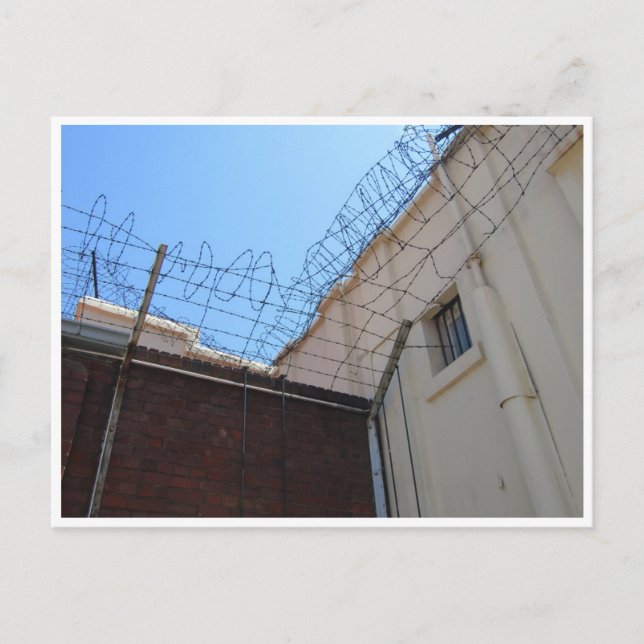 taggtråd från backe vykort (Framsida)