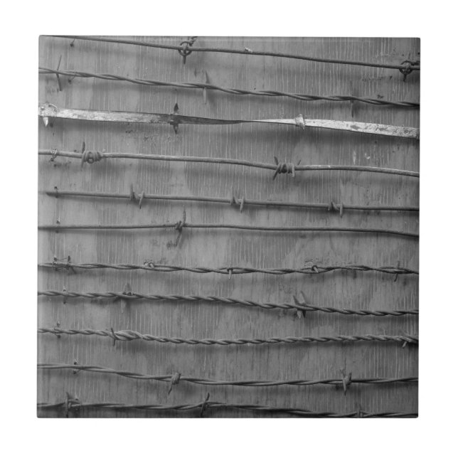 taggtråd kakelplatta (Framsidan)