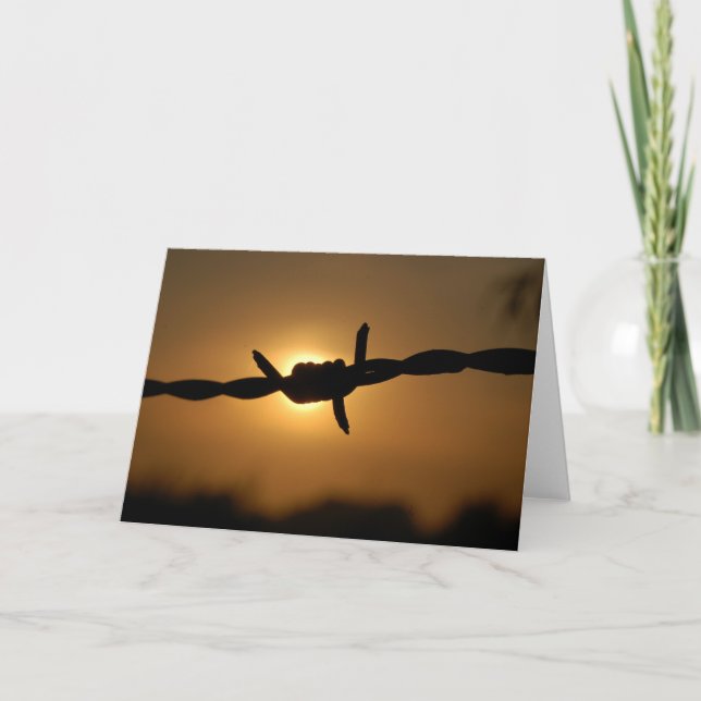 taggtråd kort (Framsida)