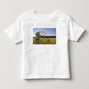 Taggtråd upprullat på stängselrad nära t-shirt