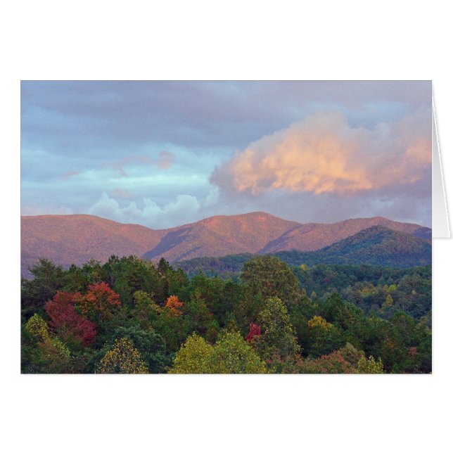 Tagning av Bäck OBS Kort (Framsidan Horizontal)