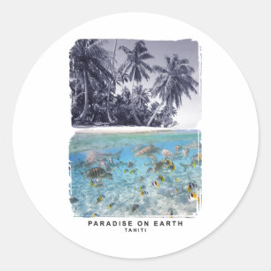 Tahiti Gorgous Beacher and Sea Runt Klistermärke