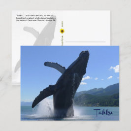 "Tahku"— Brottar humpback Valale statue - Vykort