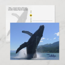 “Tahku”— humpbackvalstaty i språng -