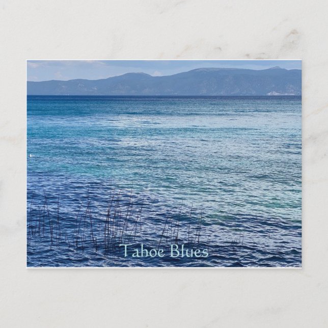Tahoe Blues vycard Vykort (Framsida)