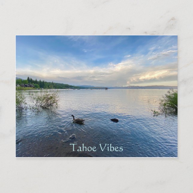 Tahoe Vibes vykort (Framsida)