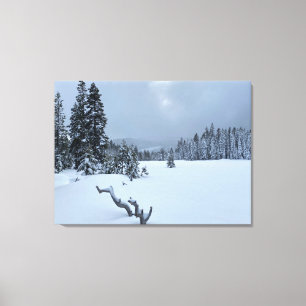 Tahoe Winter Wonderland Canvastryck