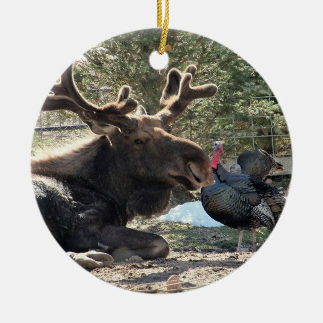 Tahoma & Eugene 2020 Ceramic Ornament (Framsidan)
