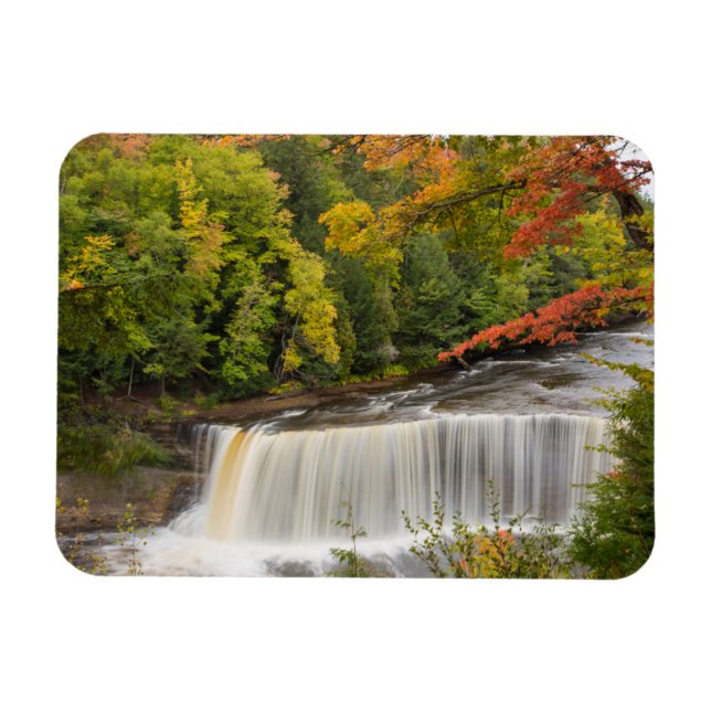 Tahquamenon Falls i Fall Magnet (Horisontell)