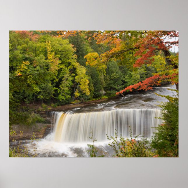Tahquamenon Falls i Fall Poster (Framsidan)