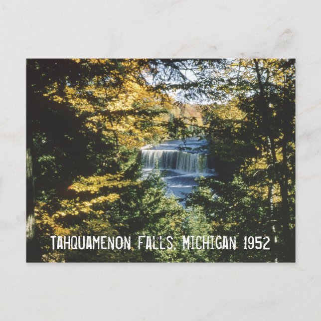 Tahquamenon Falls Michigan Postcard Vykort (Framsida)