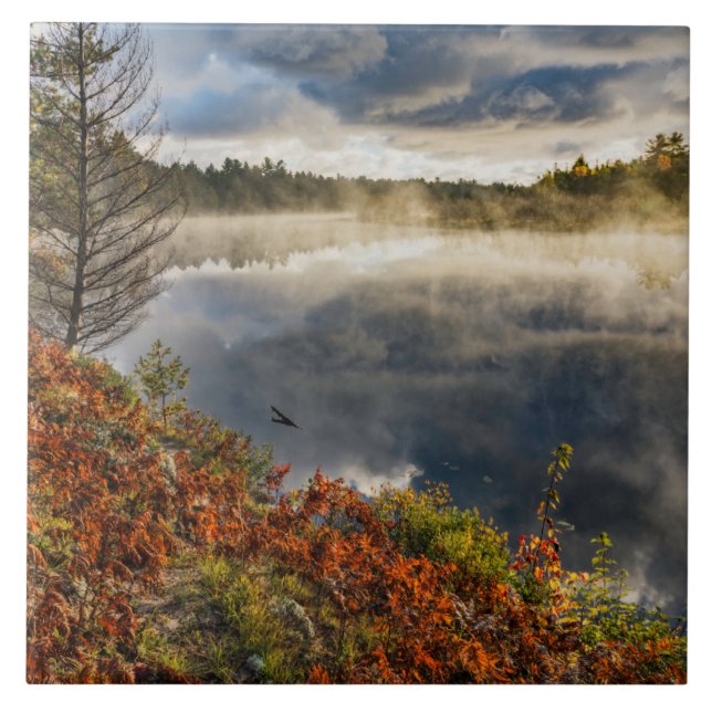 Tahquamenon River Sunrise | Paradise, Michigan Kakelplatta (Framsidan)