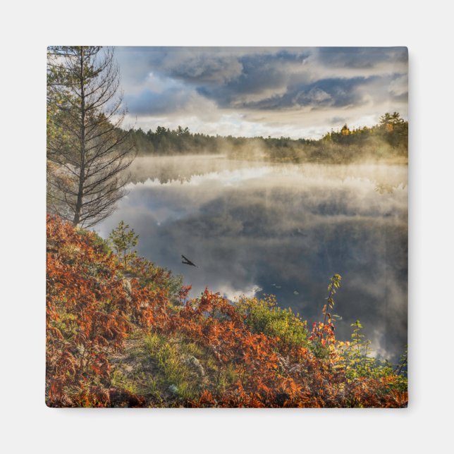Tahquamenon River Sunrise | Paradise, Michigan Magnet (Framsidan)