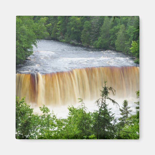 Tahquamenon Upper Falls Magnet (Framsidan)