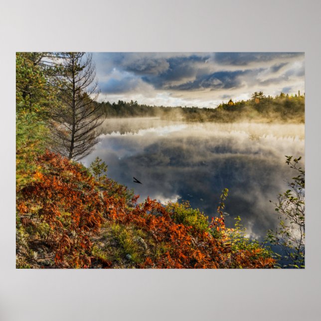 Tahquamenonfloden soluppgång | Paradise, Michigan Poster (Framsidan)