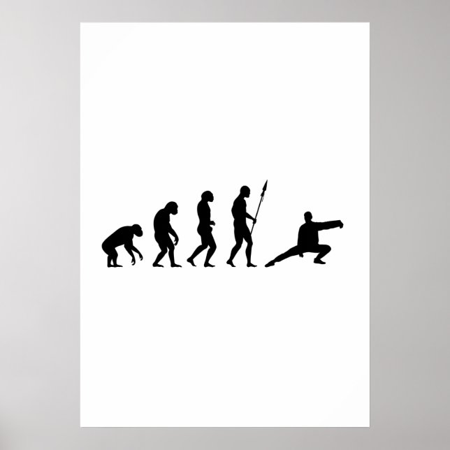 Tai chi-evolution poster (Framsidan)