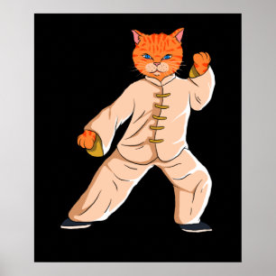 Tai Chi Instruktor Tai Chi Cat Poster