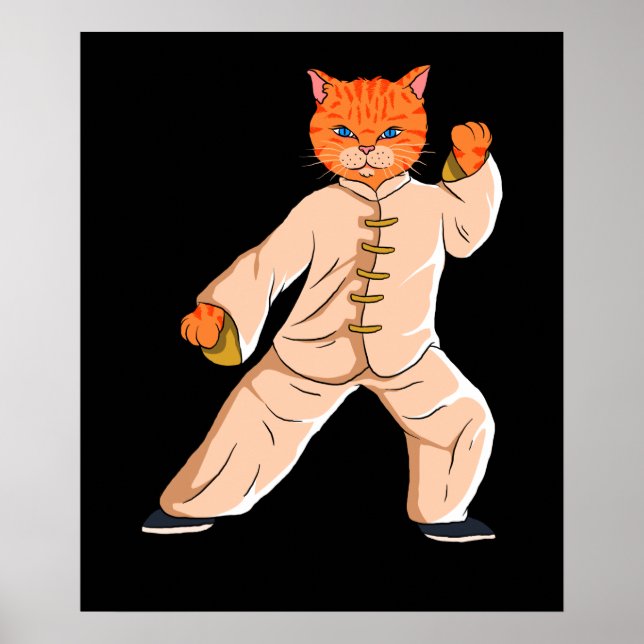 Tai Chi Instruktor Tai Chi Cat Poster (Framsidan)