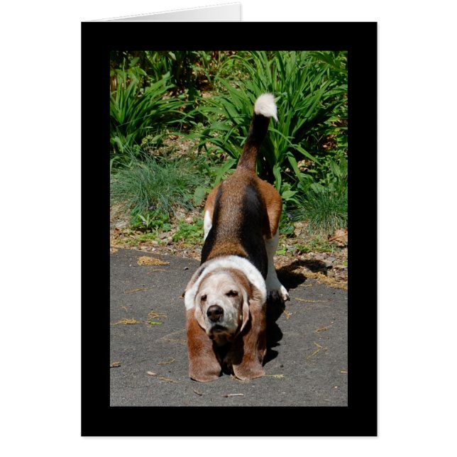 Tai Chi Master Hälsningskort (Framsidan)