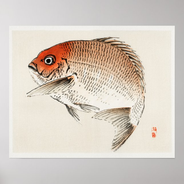 Tai (Red Seabream) fisk av Kōno Bairei (1844-1895) Poster (Framsidan)